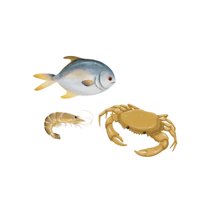 image product fishes